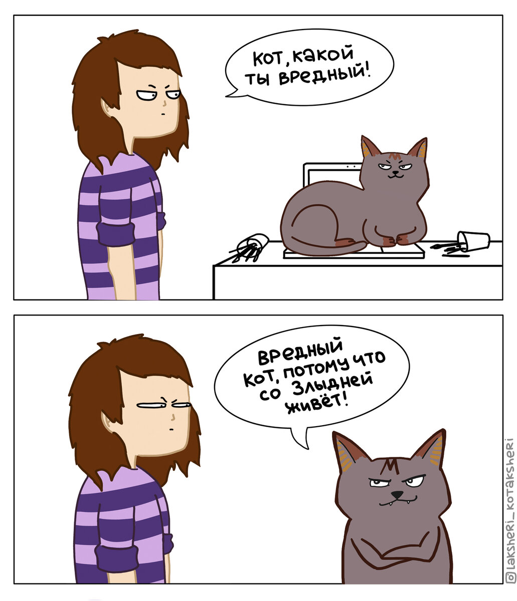 Мемы с котами комиксы