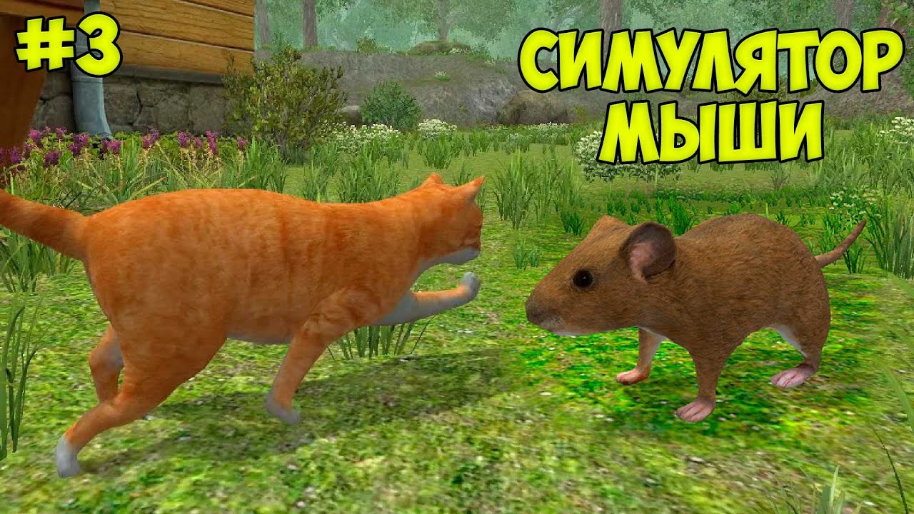 СИМУЛЯТОР маленькой МЫШИ Сердце для любимой Ухаживаю за питомцем #3