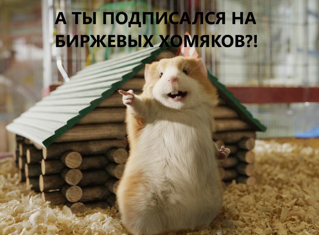 Да да, я к тебе обращаюсь 