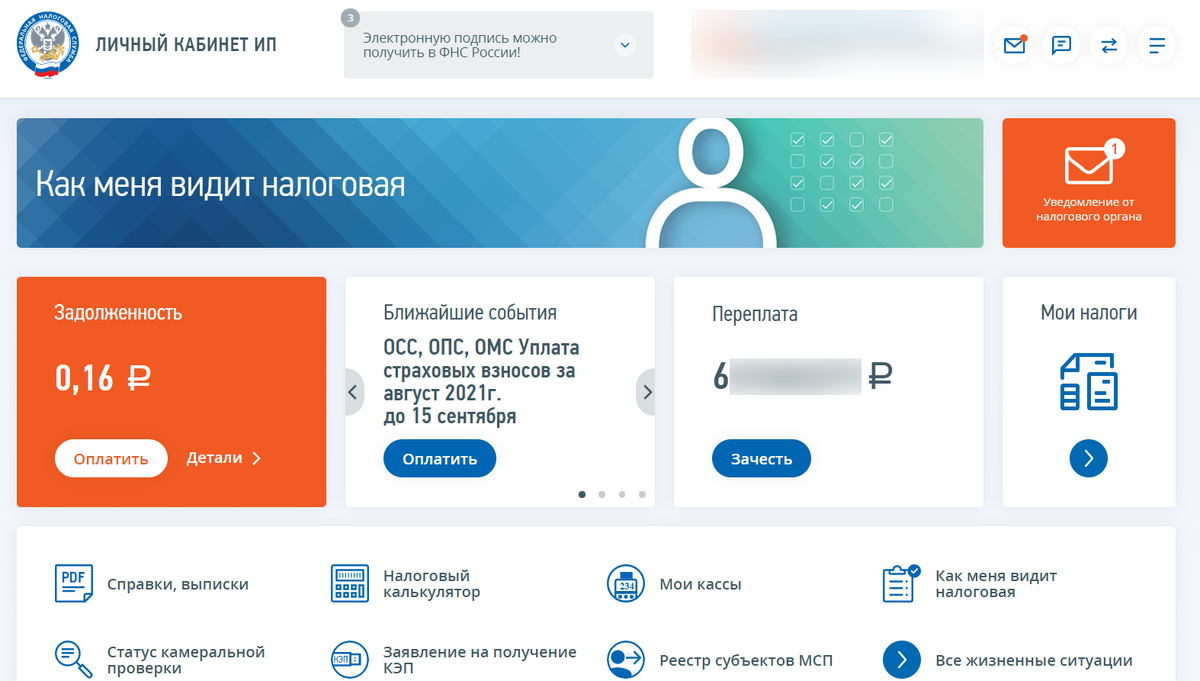 Личный кабинет Индивидуального предпринимателя
