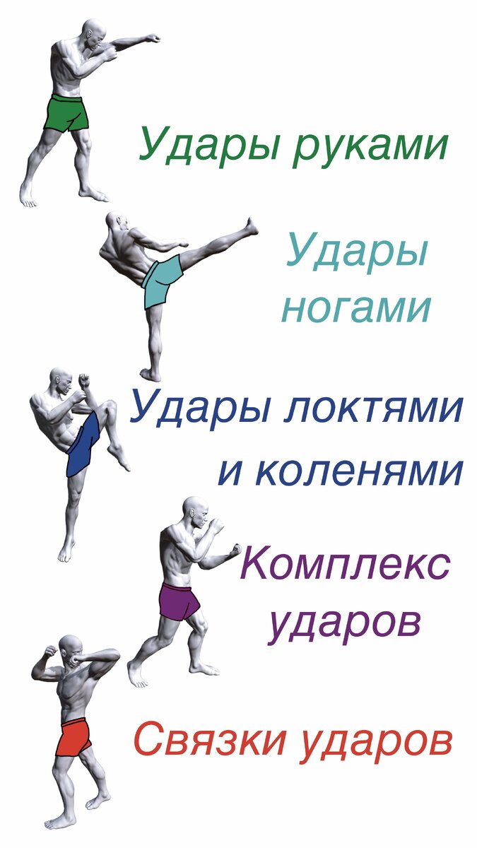 Каждый плейлист канала "Боевая нотация" имеет свой цвет