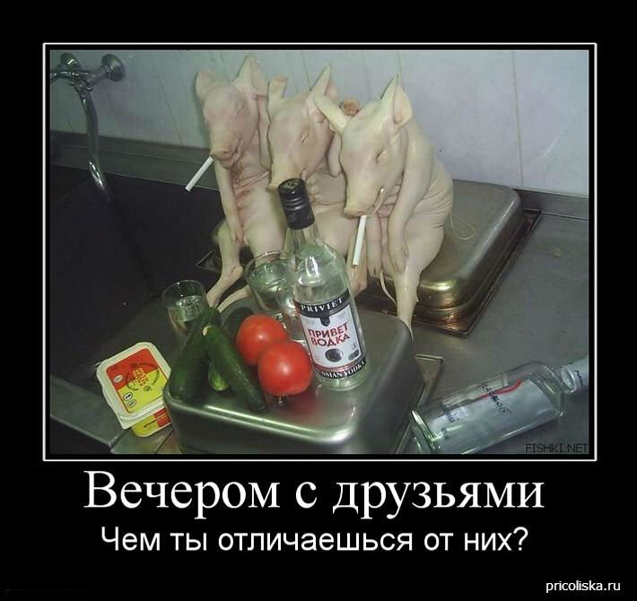 ИзЯндекс картинок