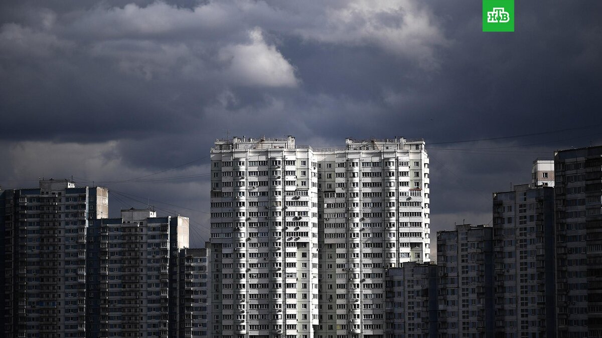    Фото: РИА Новости © 2022, Владимир Астапкович