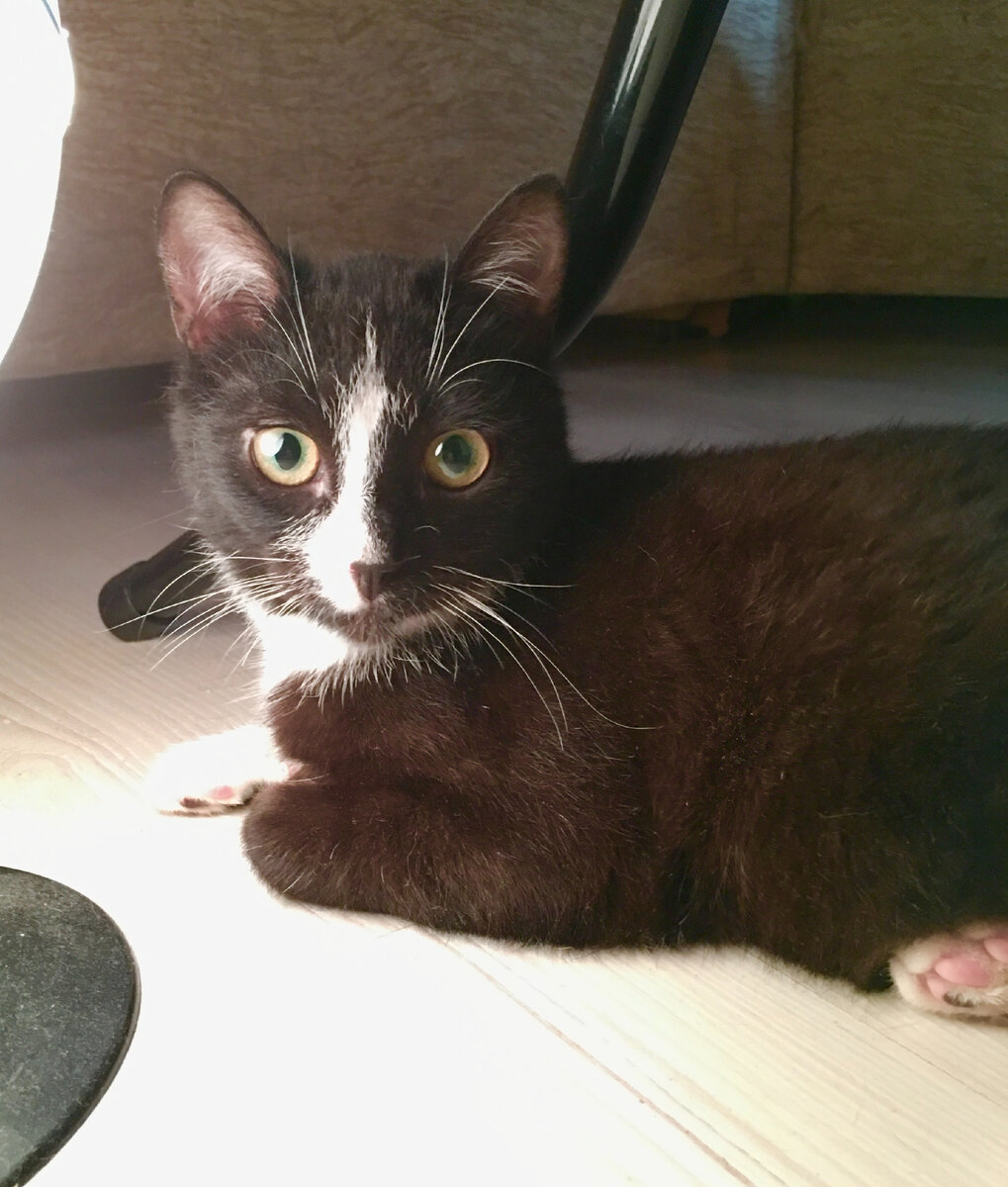 Редкий случай Гера смотрит ясными глазами очень выразительно)