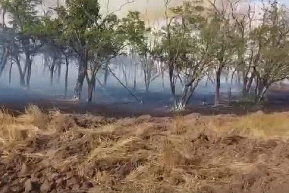     На месте происшествия работали 100 человек. Фото: пресс-служба МЧС России по РО