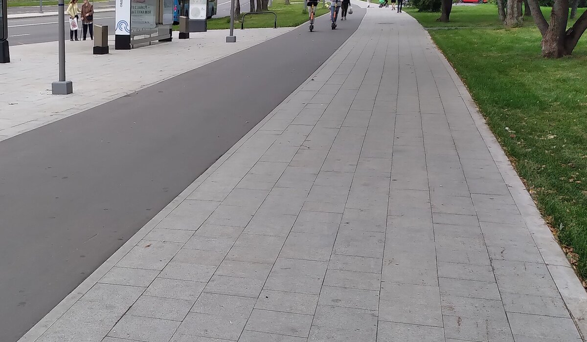 вырубили кустарник, чтобы расширить дорожки...