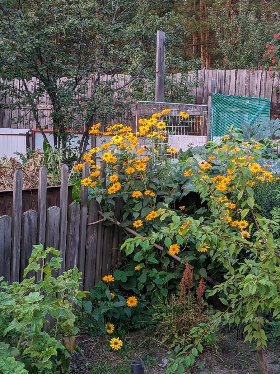 Сочный желтый