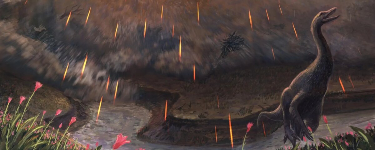 Исследователи определили сезон падения метеорита, изучая кости рыб, выкопанные на спорном участке поля.