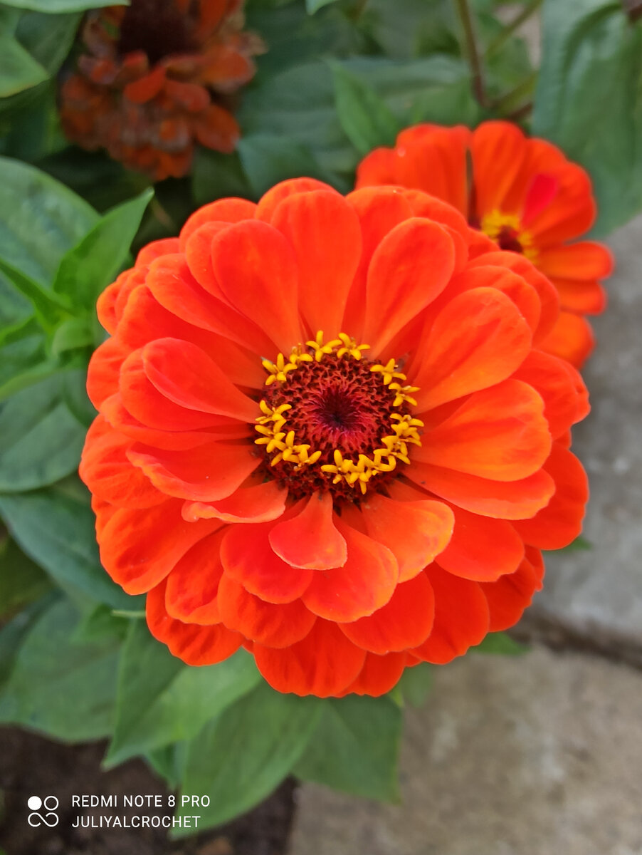 Личный архив