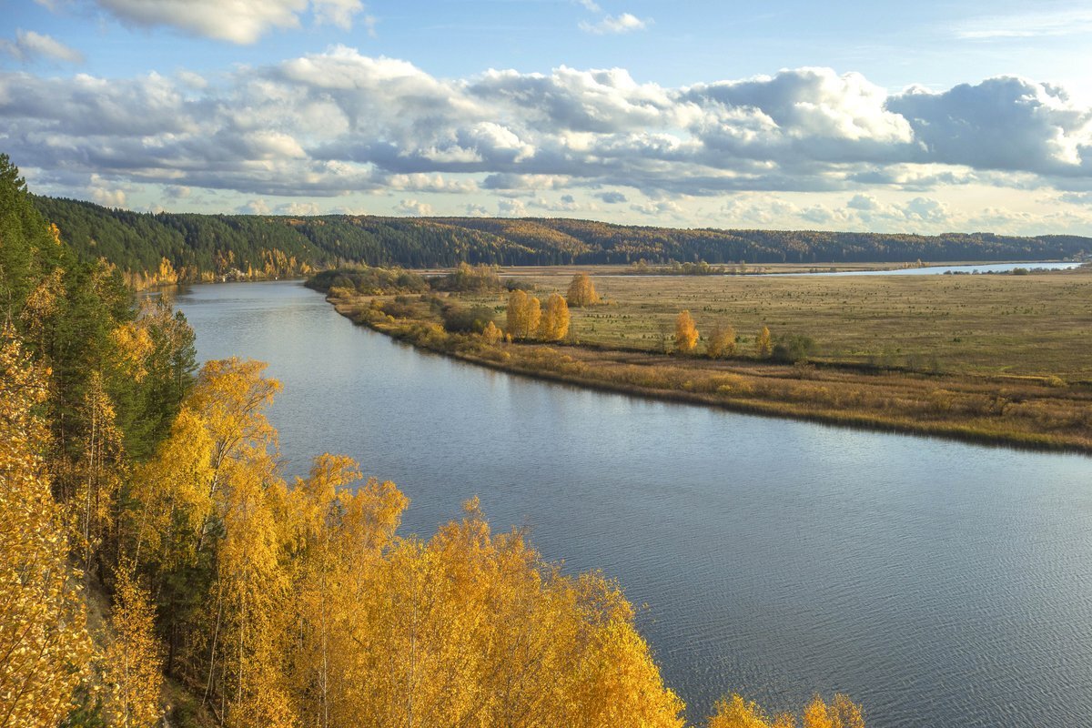 берег реки сылвы