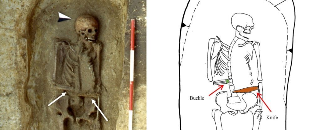 Схема из антропологического журнала. (Micarelli et al.)