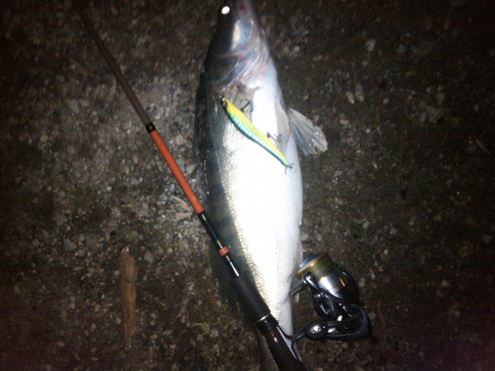 Щука длиннее судака. Воблеры для ловли ночного судака. Ловля судака ночью на воблеры летом. С 110 воблер на судака. Воблер на судака.