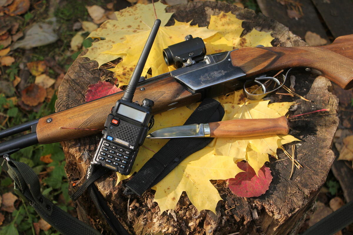 АВТОР СТАТЬИ: ЕЛИЗАВЕТА ЦЕЛЫХОВА