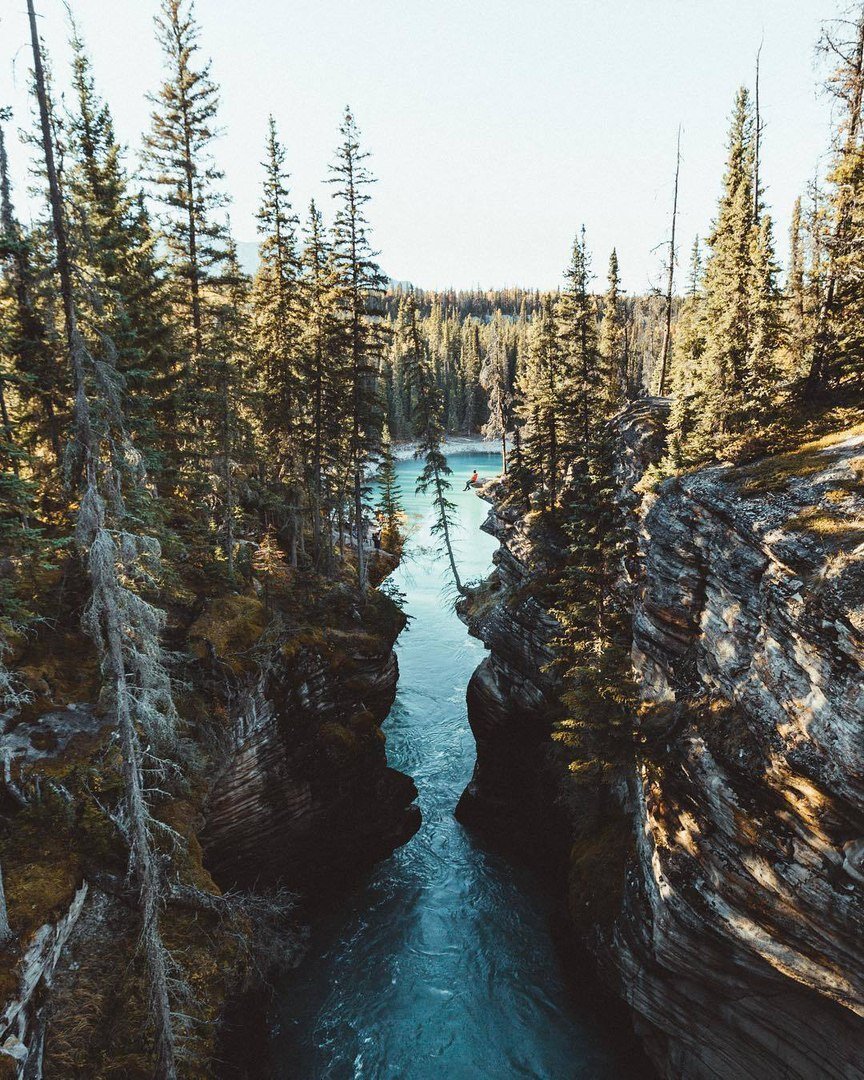 Фотографии взяты : vk.com                                                                                                                                 