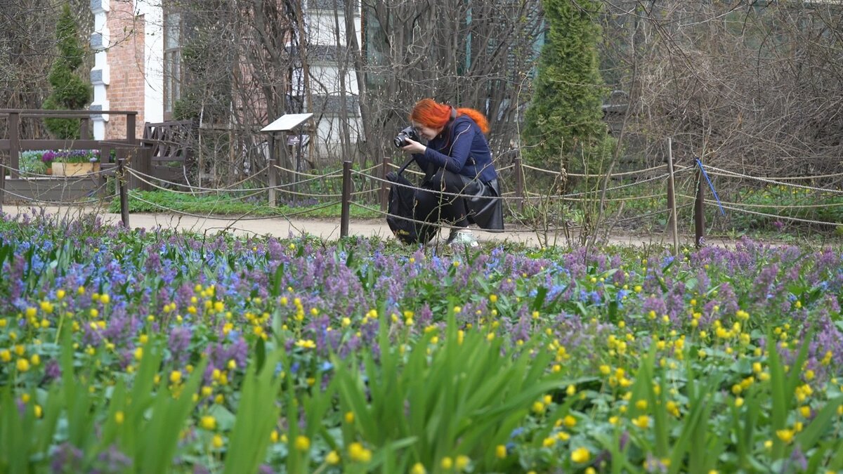 Сады ковров