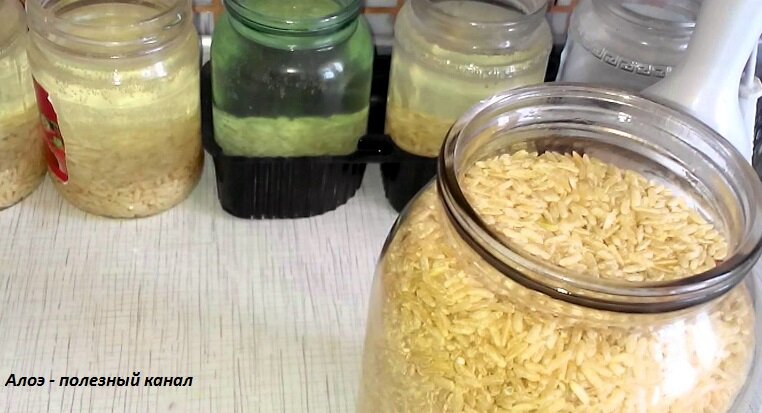 Не забывайте в каждой банке каждый день менять воду