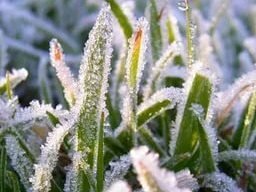   Фото: МЧС по Пермскому краю     