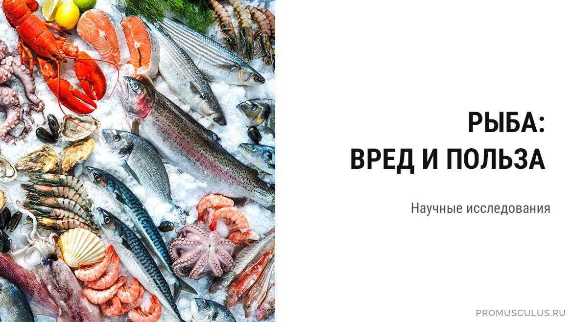 Ущерб рыбам. Рыбу есть вредно. Рыба польза и вред. Польза рыбы для организма. Польза рыбы.