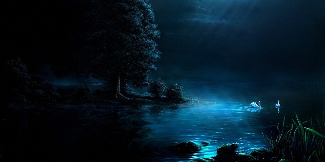 Бессоная ночь