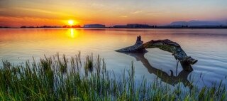 Так чем же чревато использования гребного винта если он стал похож на кусок гнутого металла? 