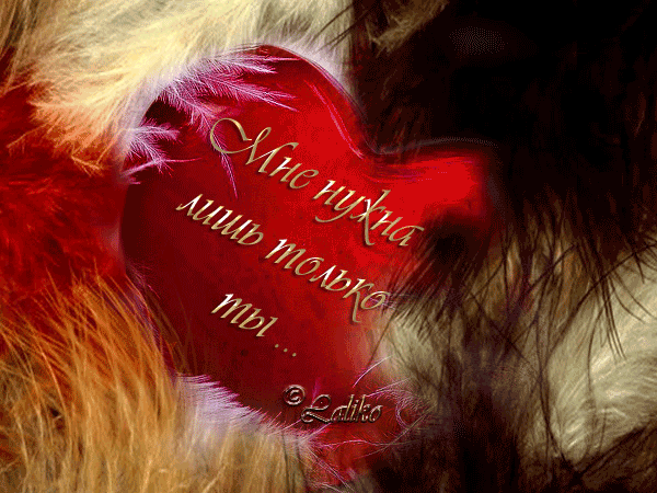 Все Думы Только О Любимой. | Новый Поэт Современности | Дзен