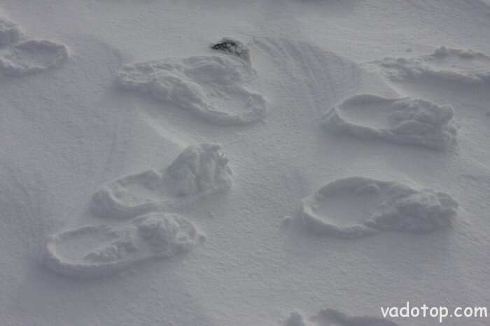 Удивительный мир, странный мир, загадки, интересное, неопознанное, мистика, монстры