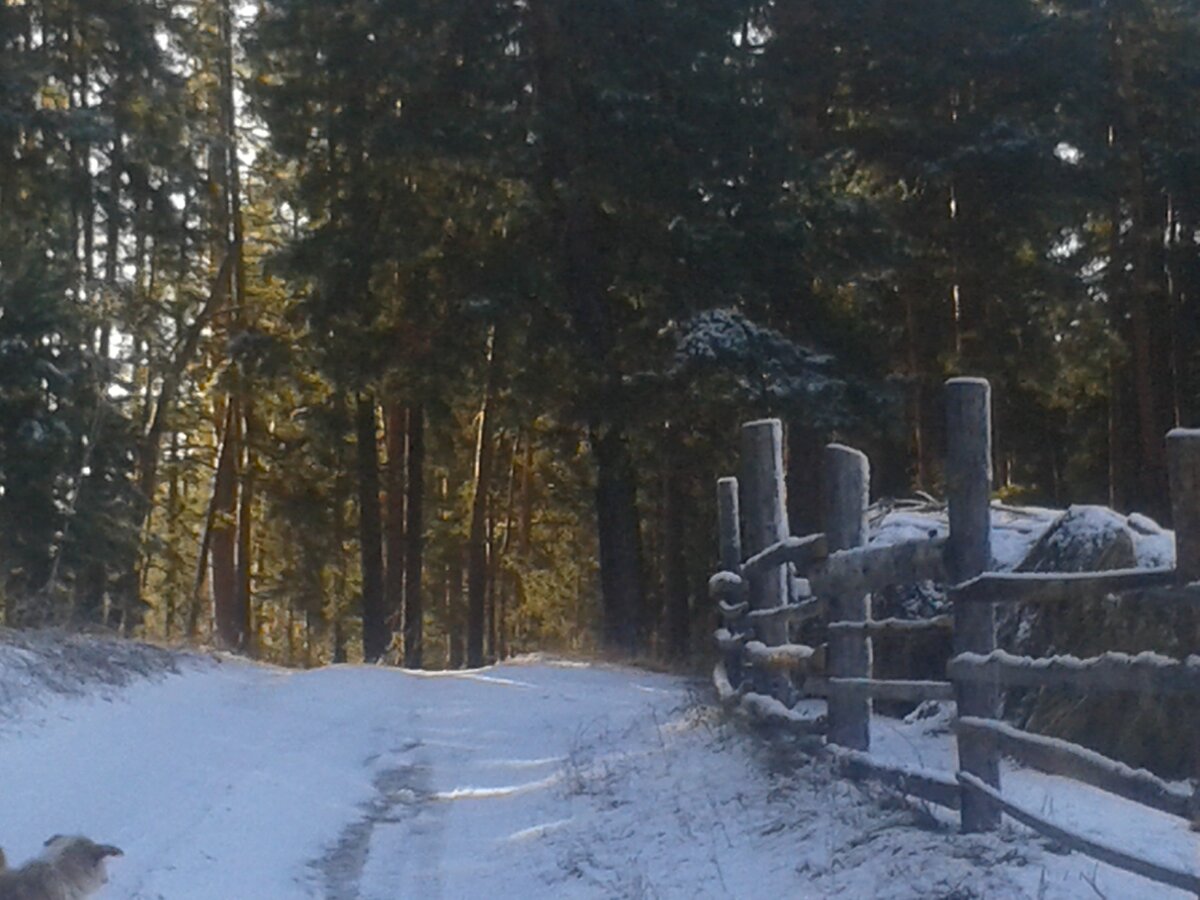 Подморозило.