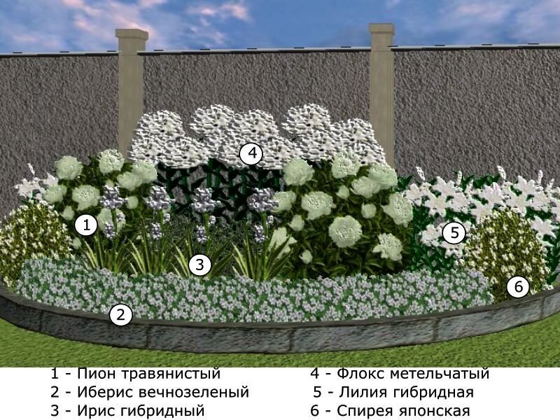 Цветник у забора из многолетников схема для чайников