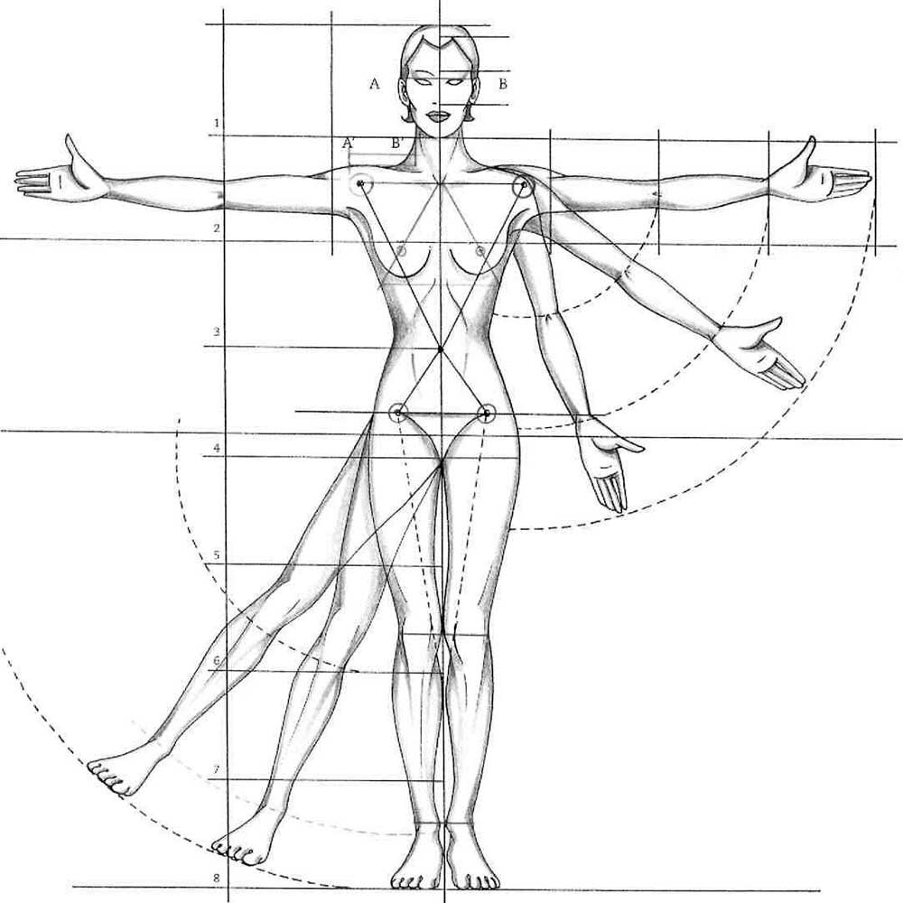 Body diagram. Золотое сечение пропорция тела женщины. Пропорции человека в полный рост. Зарисовки человека пропорции. Пропорции тела человека схема.