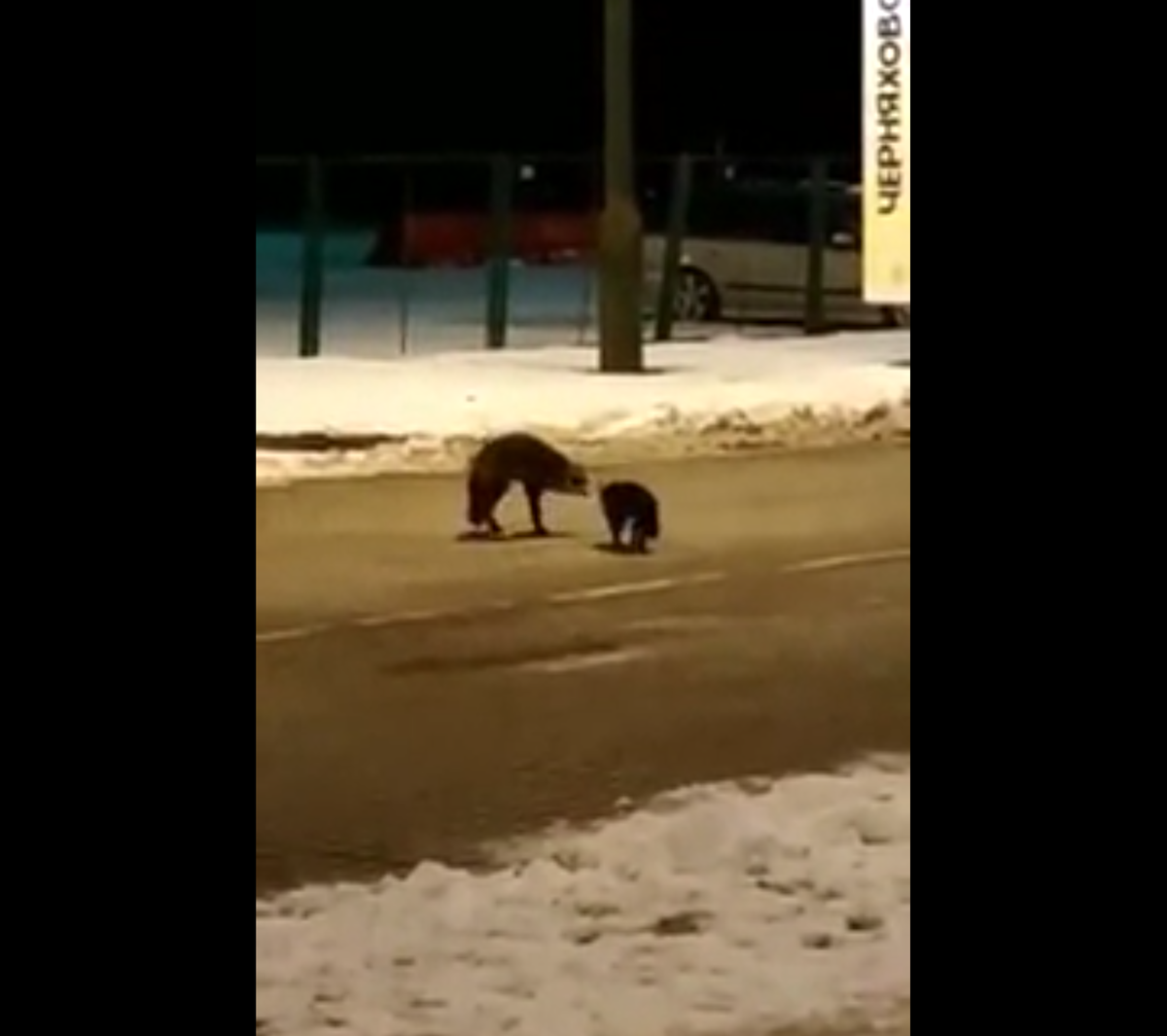 Кадр видео Русский Запад