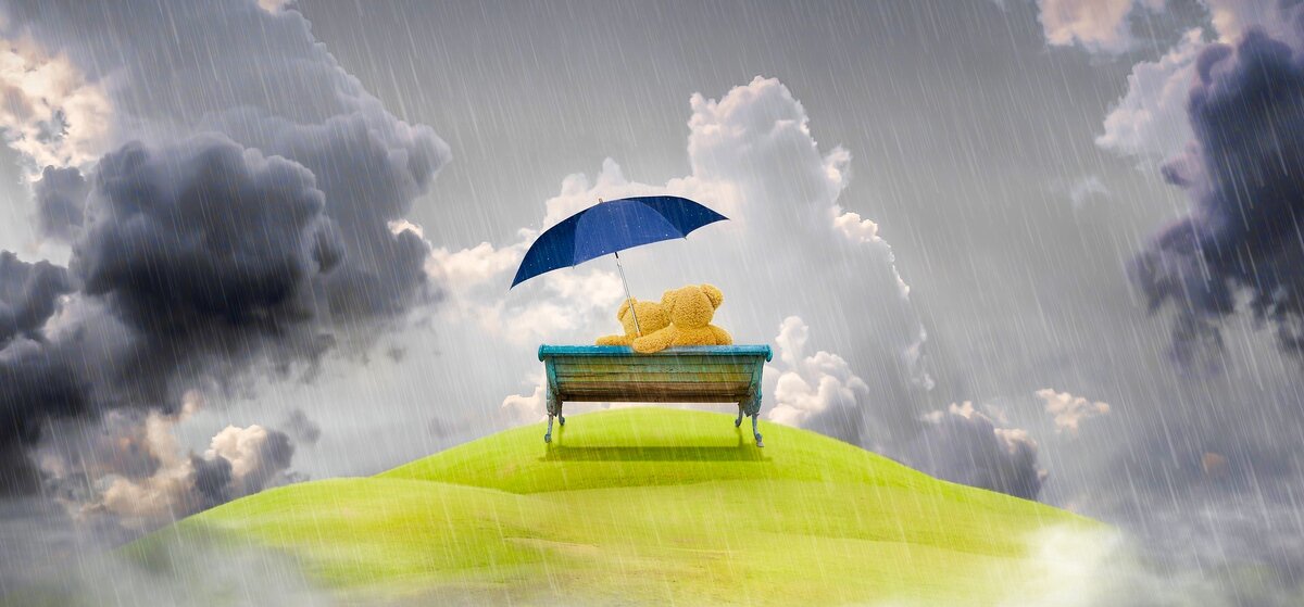 Изображение с сайта https://pixabay.com (Creative Commons CC0)