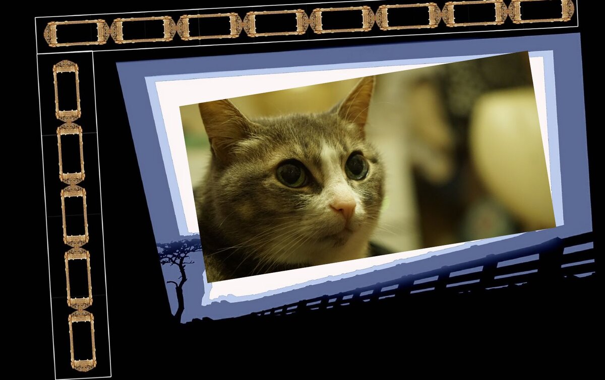 Для этого с помощью Живой медитации войдите через изображение в образ кошки. 
Ссылка на описание практики "Превращение изображения в образ".

Что это значит?