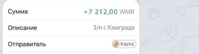 Скрин выплаты из Кэшград
