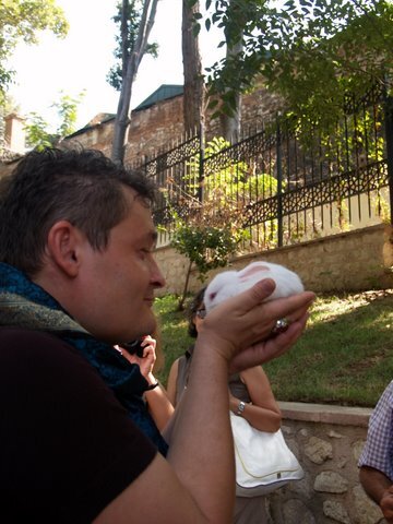 В Стамбуле, 2008 г.