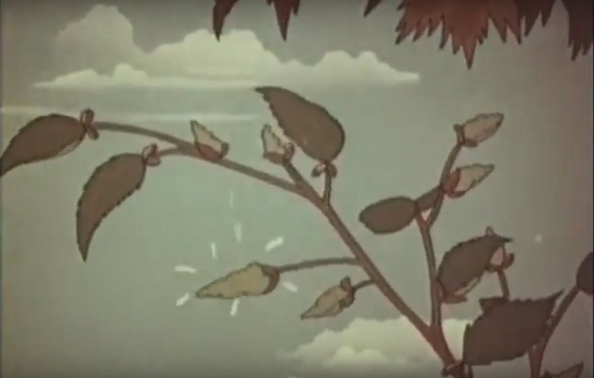 кадр из мультфильма "Весенние мелодии"