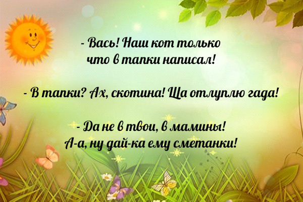 Анекдот про кота Васю 