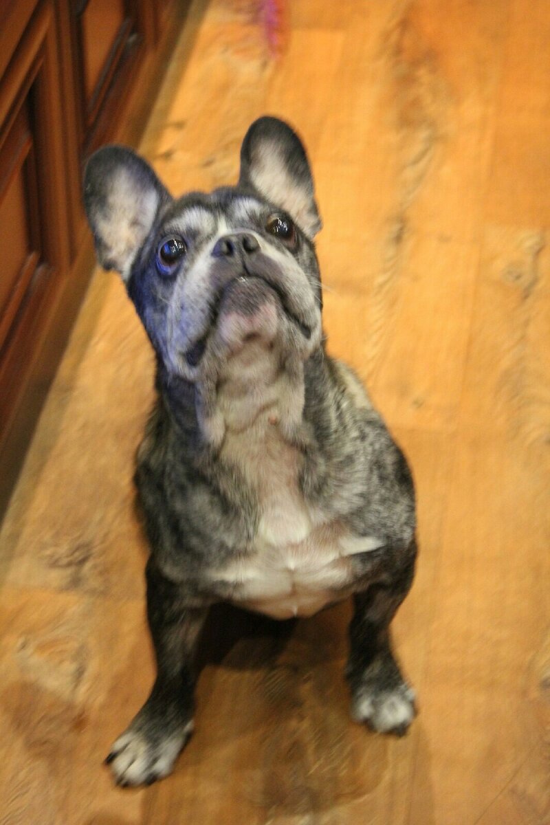 Семья, Банди ждёт Вас по телефону +7 977 874 02 09 Мария