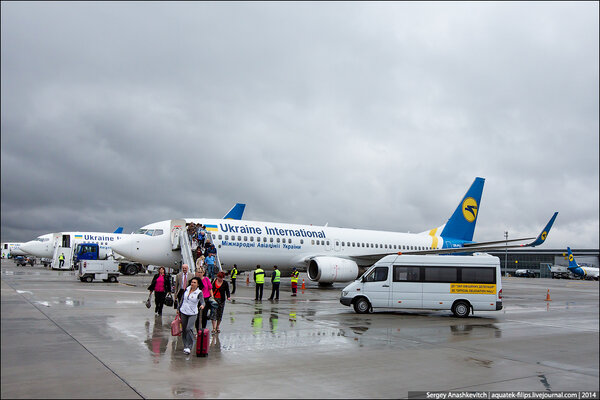 Может ли самолет улететь, забыв пассажиров в аэропорту? Украинская авиакомпания доказала, что да ?????‍♂️