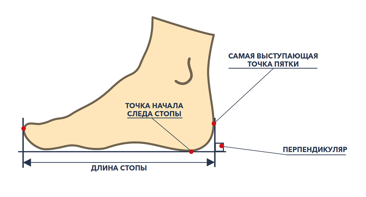 Как померить размер ноги фото