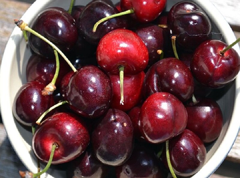 Черешня с плодоножками