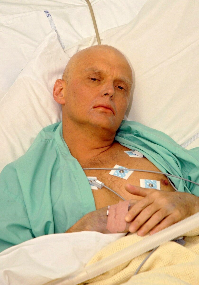 Фото из интернета