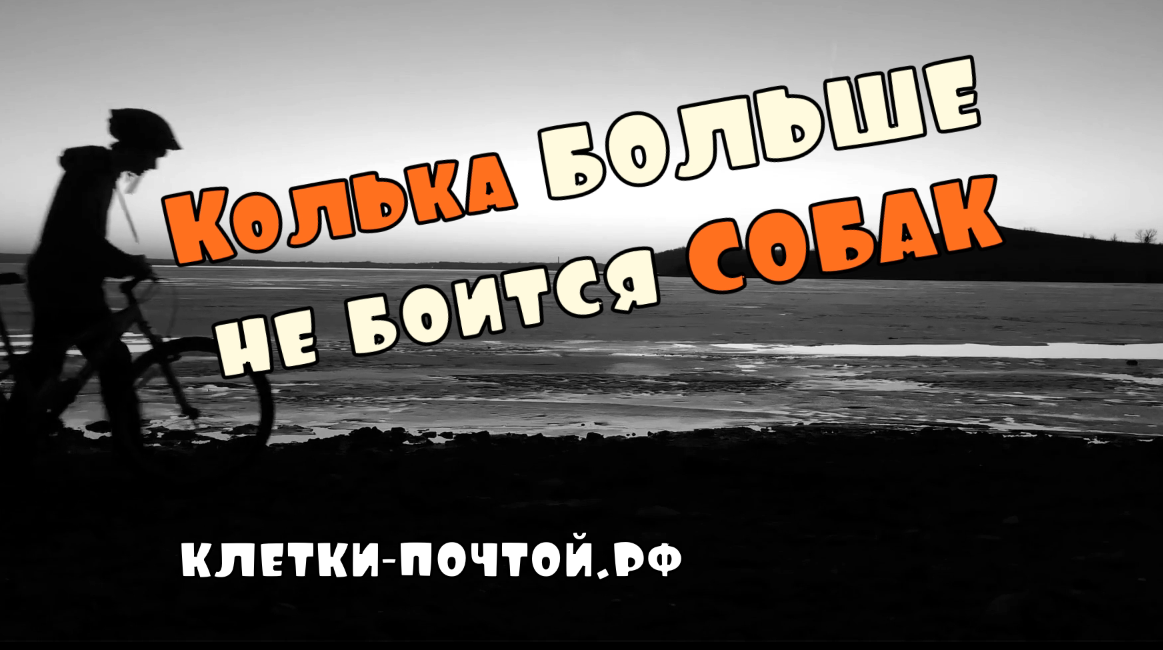 Колька больше не боится собак