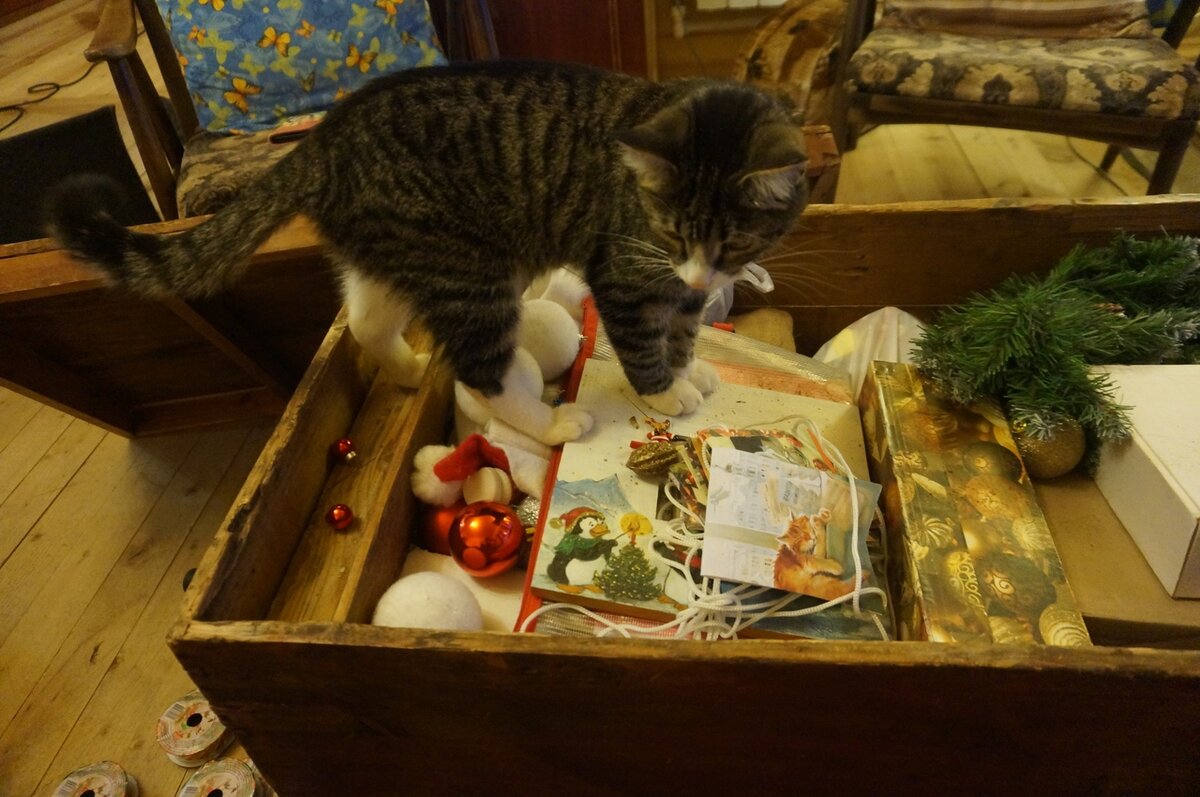 Фуфырик и сундук с новогодними сокровищами