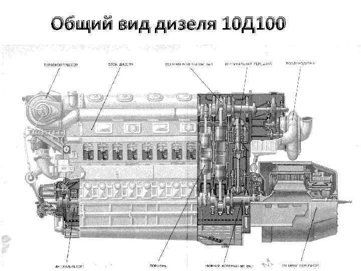 Вид Дизеля 10Д100. Взято из Яндекс Картинок.