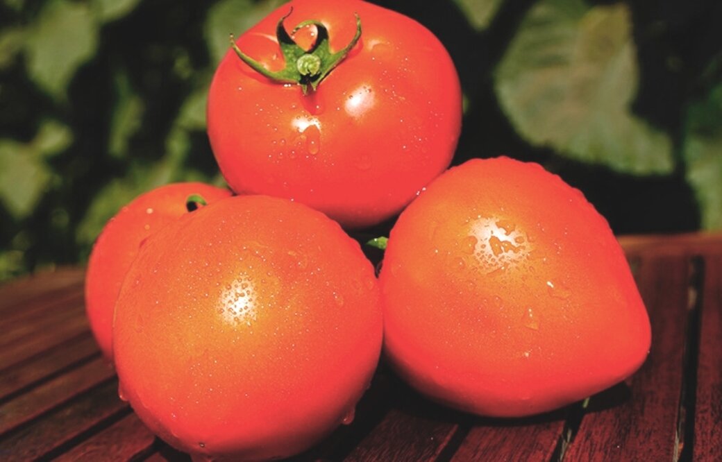 Томат "Супернова F1"