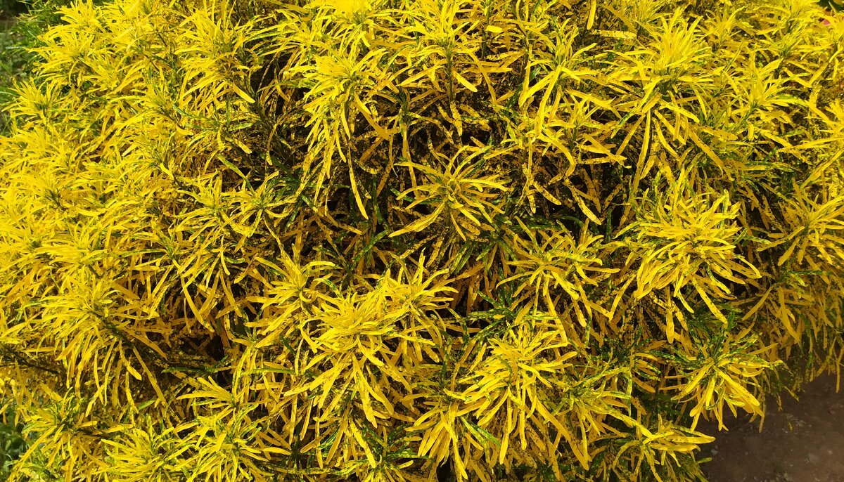 Фото мое, февраль-март 2020