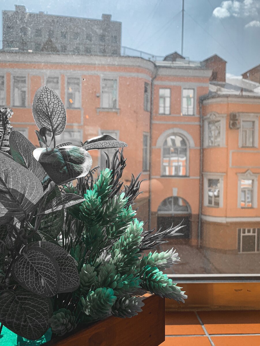 Здание напротив студии «ТриНаЧетыре»