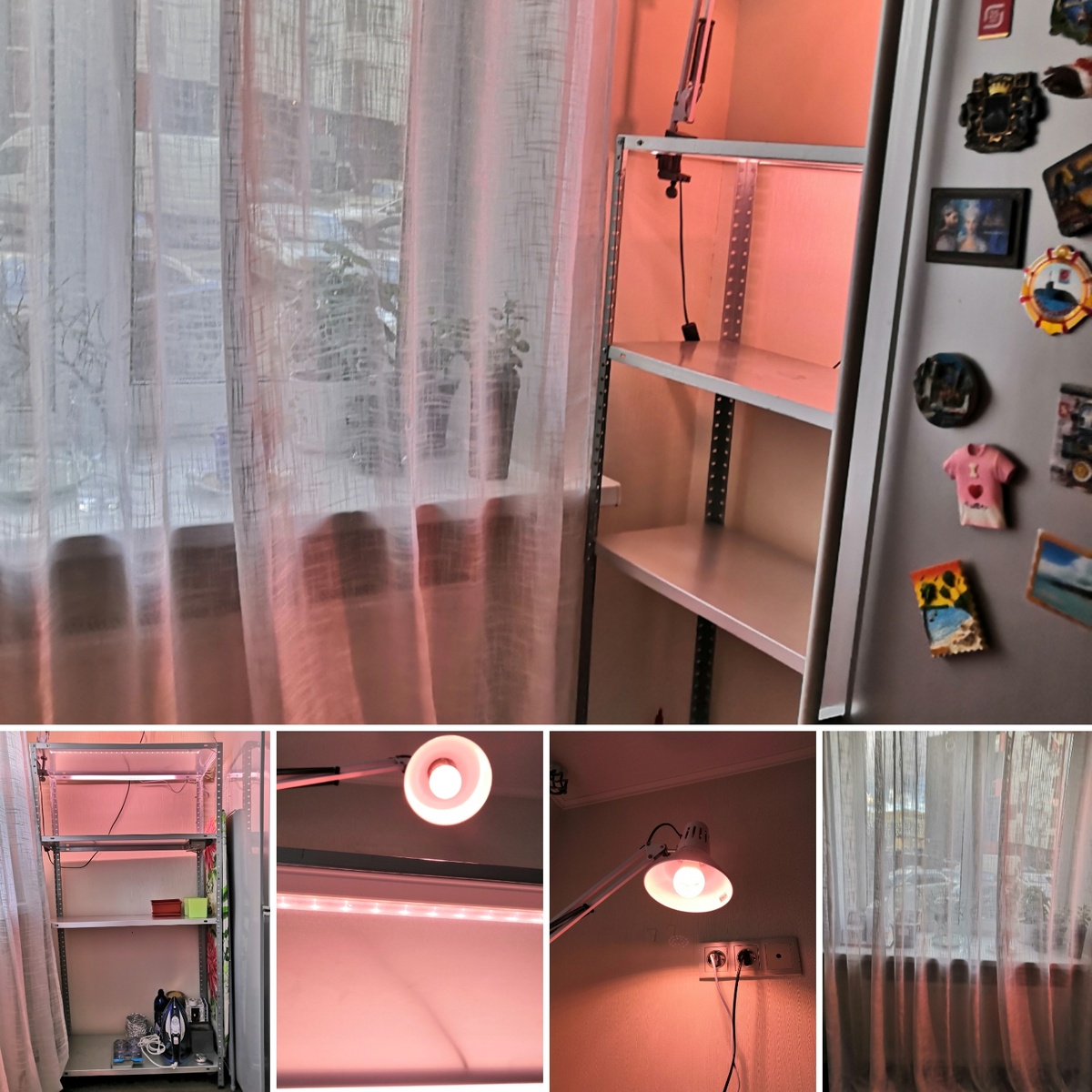 Мой домашний огород