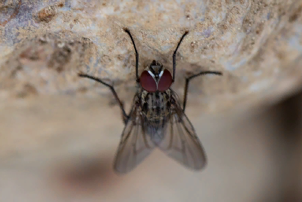 Легко вверх ногами