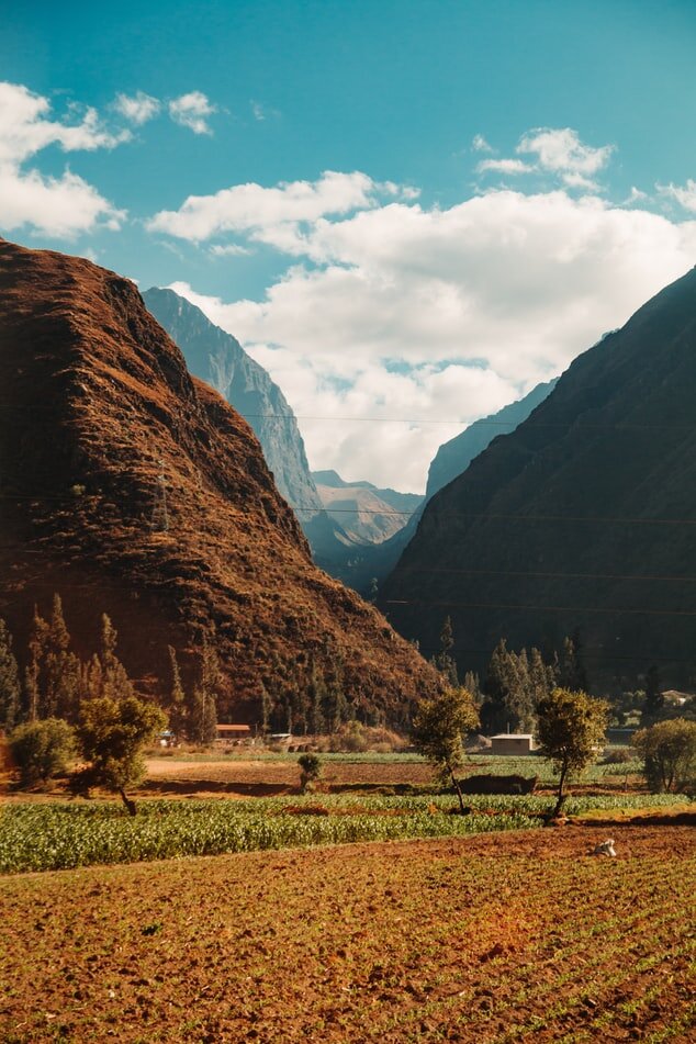 https://images.unsplash.com/photo-1568805711781-e4ff7caf7afa?ixlib=rb-1.2.1&ixid=eyJhcHBfaWQiOjEyMDd9&auto=format&fit=crop&w=634&q=80